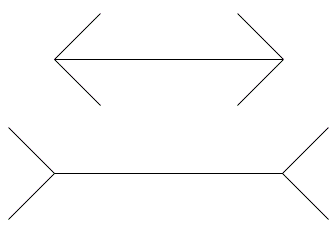 Müller-Lyer illusion