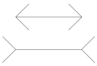 The Müller-Lyer Illusion Explained